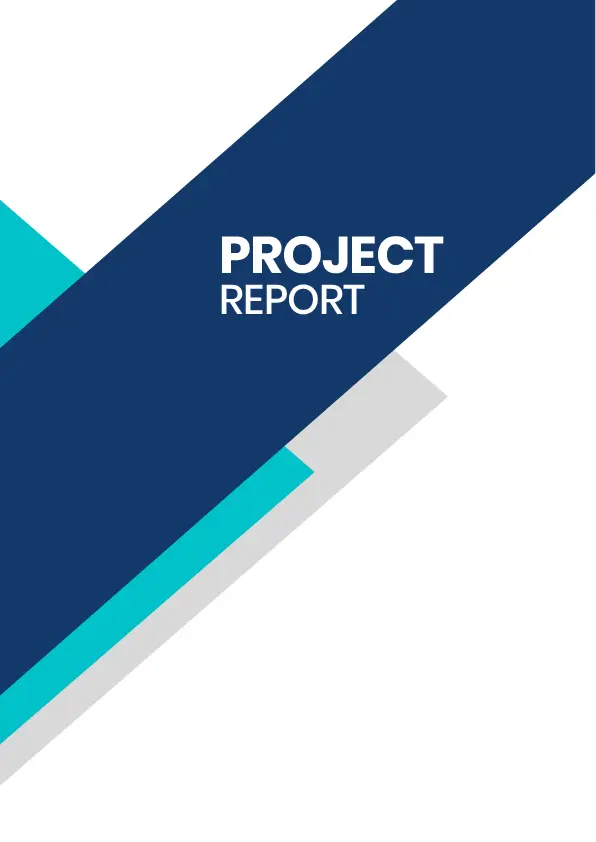 Project Report sample