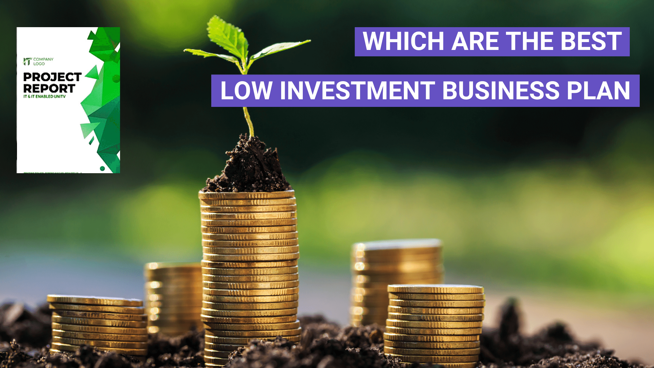 Which are the best low investment business plan