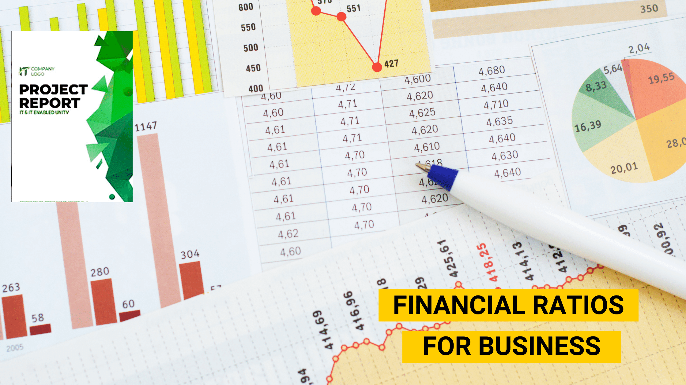 financial ratios of a business plan