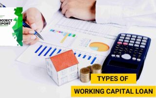 Types of Working Capital Loan