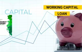 Working Capital Loan