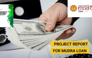 Project Report for Mudra Loan