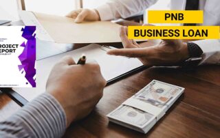 PNB Business Loan
