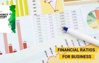 Financial Ratios for Business