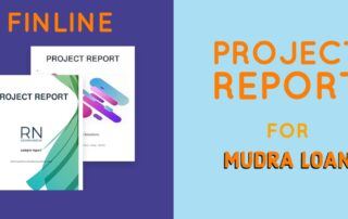 Project report for mudra loan
