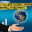 Access global market with low investment