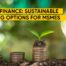 green finance
