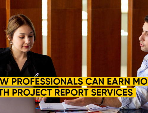 How Professionals Can Earn More with Project Report Services
