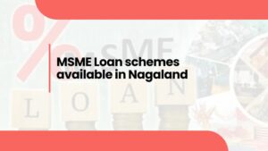 MSME Loan schemes available in Nagaland