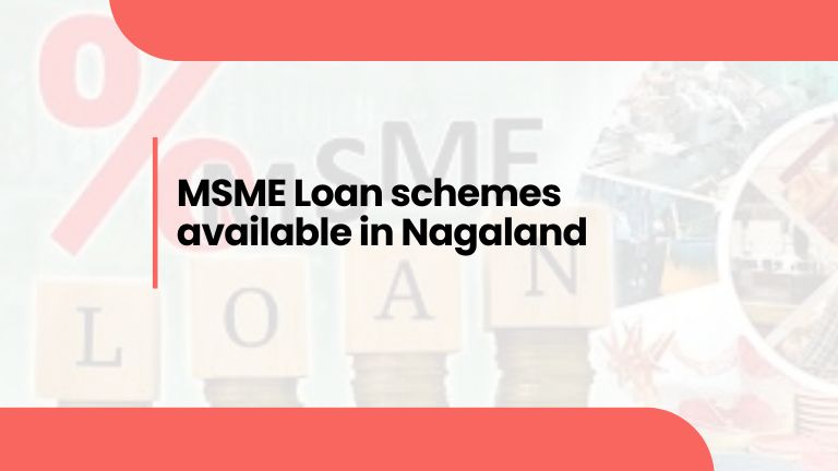 MSME Loan schemes available in Nagaland