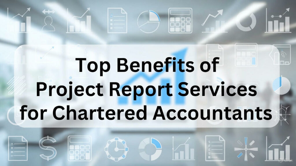 Project Report Services for Chartered Accountants