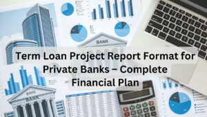 Term Loan Project Report