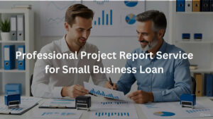 Project Report Service for Small Business Loan