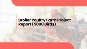 Broiler Poultry Farm Project Report