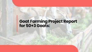 Goat Farming Project Report