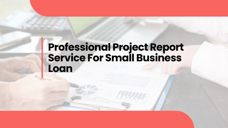 project report for bank loan